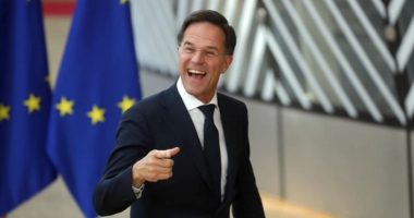 Kreu i NATO-s tallet me Kremlinin: Ariu nuk ka pse të thotë se është ari