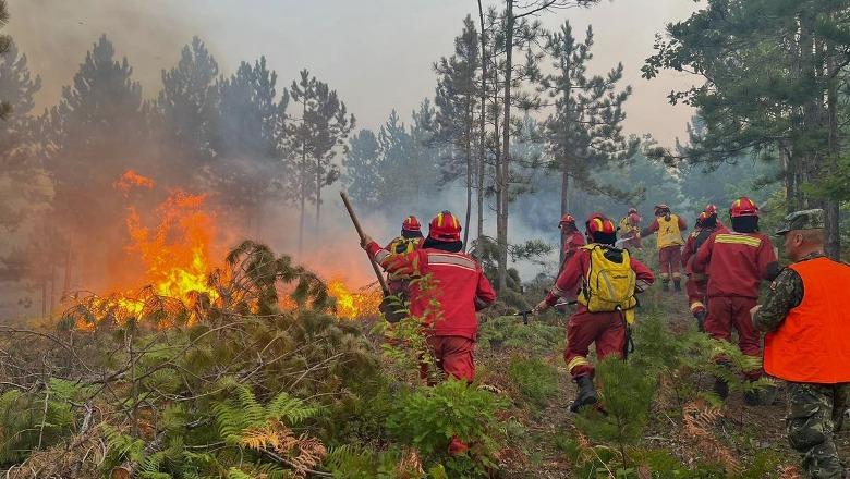 Qeveria shpërblen “heronjtë”/ Luftuan me flakët, një deri tre paga për  zjarrfikës, ushtarë dhe policë