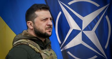 Zelensky: Të gatshëm të ndajmë përvojat tona me NATO-n në përballimin e sulmeve me dronë rusë