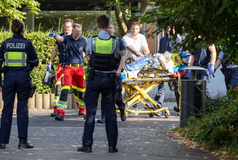 Vritet adoleshenti shqiptar/ Gjermani, 17 me origjinë nga Kosova qëlloi mësuesen me thikë