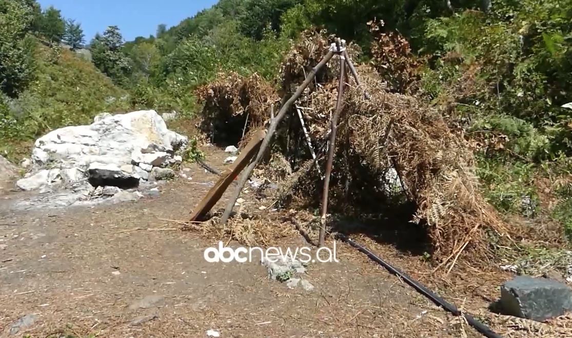 Në Llixhat e Lëpushës/ Pasuri natyrore e kurative në njësinë administrative Stravaj