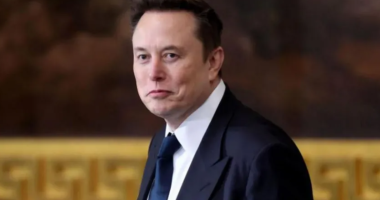 Musk në dosjen “Epstein”/ Demokratët publikojnë në kongres dokumente nga dosja