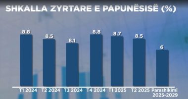Programi i qeverisë për punësimin/ Nga garancia rinore, te arsimi profesional e programet për diasporën