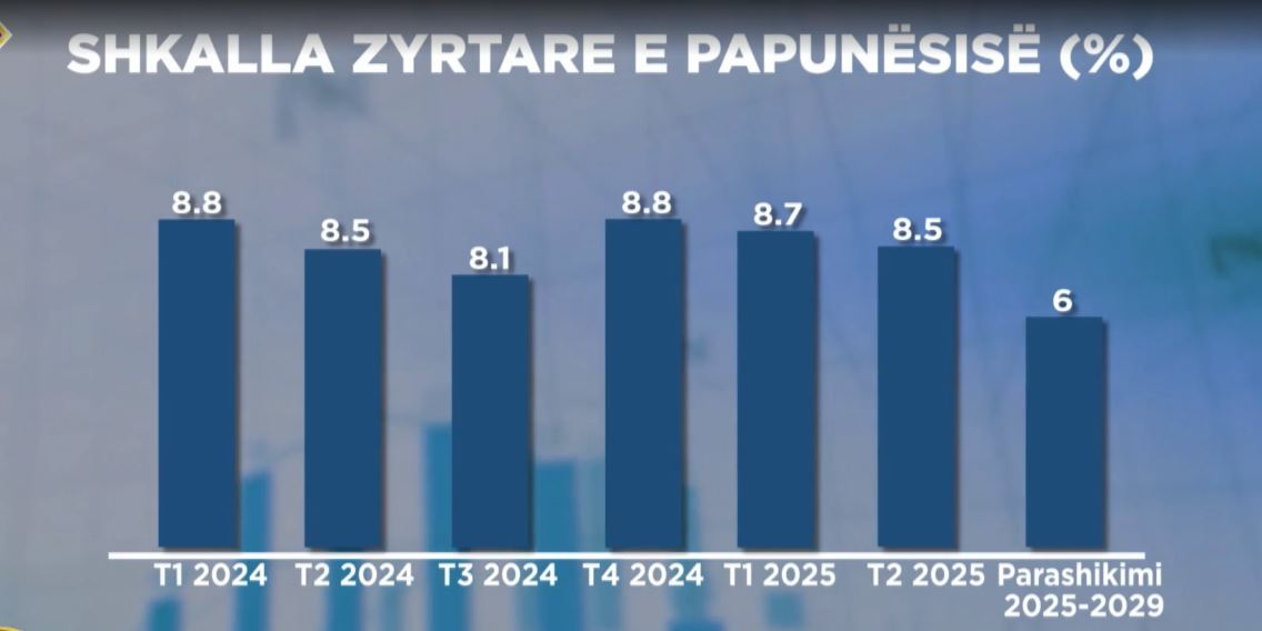 Programi i qeverisë për punësimin/ Nga garancia rinore, te arsimi profesional e programet për diasporën