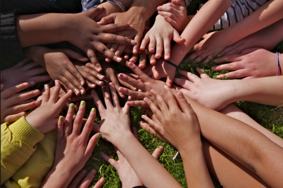 Racizmi arrin nivel rekord në Zvicër, por fondet zvogëlohen