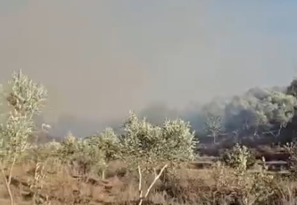 Sarandë/ Zjarr në Parkun e Butrintit, era favorizon përhapjen e flakëve