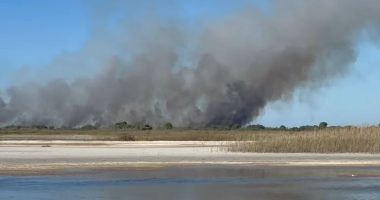 Flakë në bregdetin e Semanit, zjarri rrezikon speciet e egra dhe bimësinë e zonës