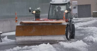 Zvicra mbulohet nga bora