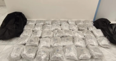 Sekuestrohen 42 kilogramë kanabis në kufirin greko-shqiptar, arrestohen katër persona