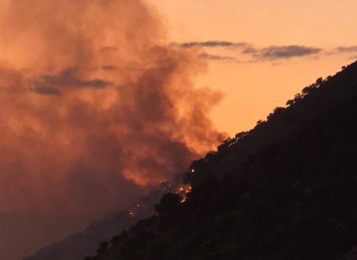 VIDEO/ Zjarr në afërsi të Gjirit të Gramës, flakët përhapen për shkak të erës