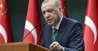 Erdogan: Ndalimi i flotiljes së ndihmave ilustron brutalitetin në Gaza