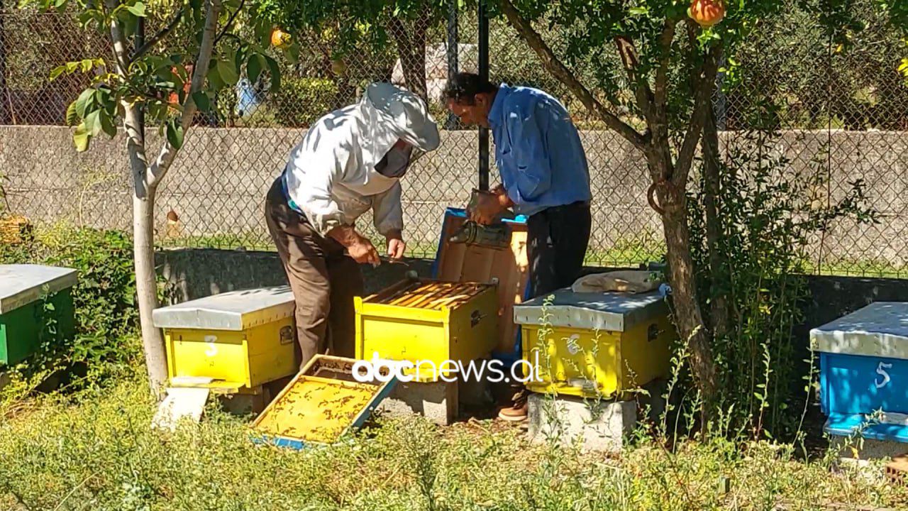 Largimi nga Shkodra me gomone/ Mark Gjonaj kujton udhëtimin dramatik drejt Italisë në vitet ‘90