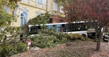 Autobusi me pasagjerë përplaset me murin e një shkolle në Hungari, disa të lënduar