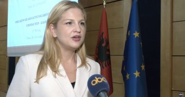 Kokalari: Mos humbni kohë! Deputetja shqiptare e PE: Shqipëria ka bërë hapa para