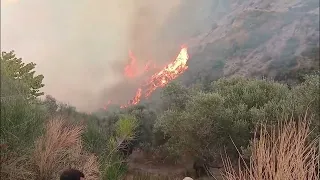 Skema e sigurimit në Bujqësi/ Salla: Vijon bashkëpunimi me Turqinë për planin e veprimit