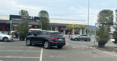 Plagosja me armë pranë Rinasit/ Në kërkim autori, arrestohet i vëllai