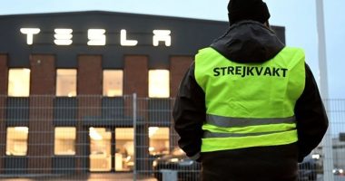 Dy vjet grevë te Tesla/ Më e gjata në 100 vjet e fundit në Suedi