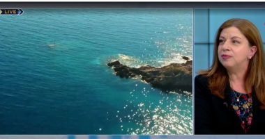 Shqipëria drejt turizmit të qëndrueshëm/ Ekspertja: Të jepet më shumë informacion për vendet në UNESCO