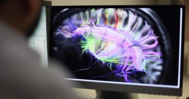 OBSH: Shumica e vendeve nuk kanë politika për të trajtuar çrregullimet neurologjike