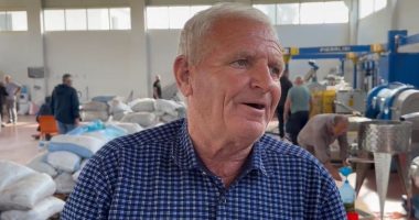 Vlorë, bie prodhimi i ullirit/ Fermerët: Cilësia e vajit është më e mirë