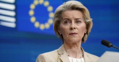 BE intensifikon përpjekjet për të ulur varësinë nga mineralet e rralla të Kinës