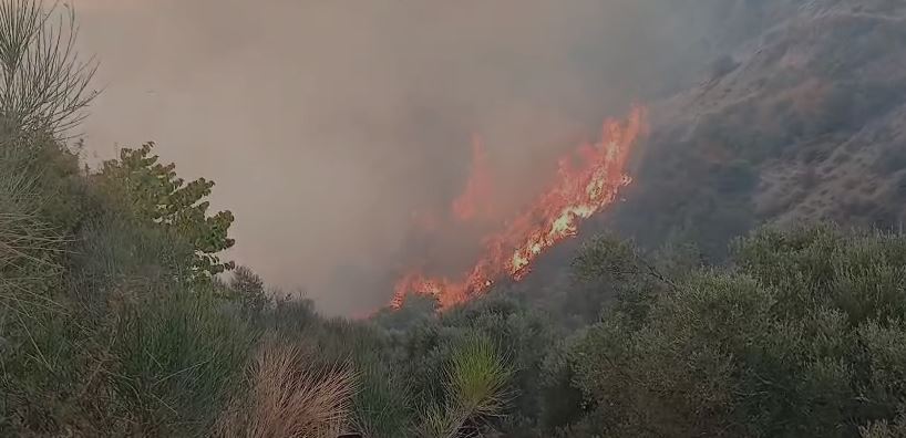 VIDEO/ Zjarr në Peqin, terreni i vështirë dhe era favorizojnë flakët