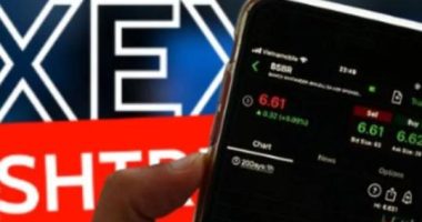 Skema mashtrimi me platformën Xuexa/ Apeli liron dy prej të arrestuarëve