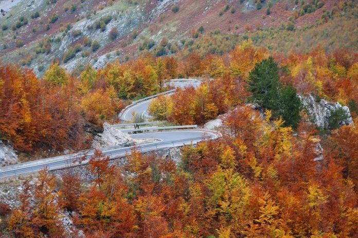 Parashikimi i motit, 1 nëntor 2025