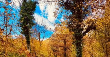 E shtuna me mot të kthjellët dhe vranësira kalimtare