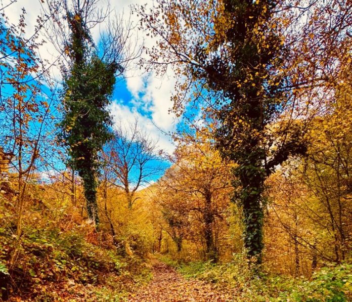 E shtuna me mot të kthjellët dhe vranësira kalimtare