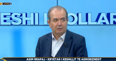 Më shumë fonde për bujqësinë/ Kreu i Këshillit të Agrobiznesit: Sektori mbetet jetik, duhet modernizuar