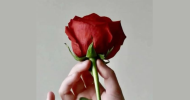 Triumfi në zgjedhje/ Reagon Rama: Pesë fitore dhe pesë arsye më shumë për t’i falënderuar qytetarët për besimin