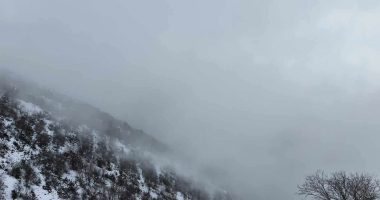 Parashikimi i motit, 24 nëntor 2025