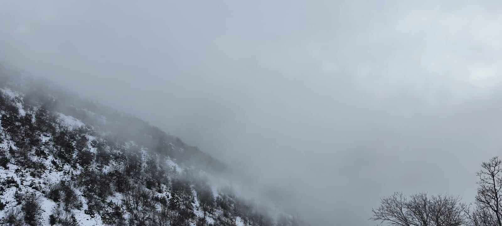 Parashikimi i motit, 24 nëntor 2025