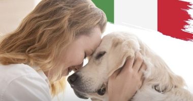 Italia ka më shumë kafshë shtëpiake sesa foshnje, shkalla e lindjeve në nivelin më të ulët historik