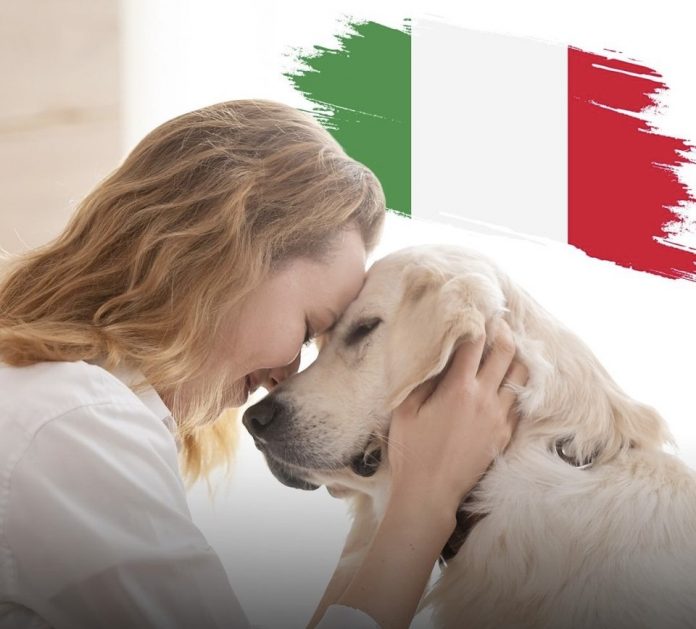 Italia ka më shumë kafshë shtëpiake sesa foshnje, shkalla e lindjeve në nivelin më të ulët historik