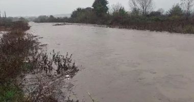 Reshjet e shiut/ Lumi Drojë del nga shtrati, përmbyten disa banesa në Kurbin