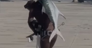 Peshkatari kap një ton 20 kilogramësh në gjirin e Vlorës