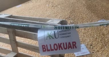 Vinte nga Serbia, AKU bllokon 25 tonë misër në Elbasan