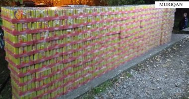 Transportonin mallra kontrabandë/ Shkodër, arrestohet shoferi, procedohen dy doganierë