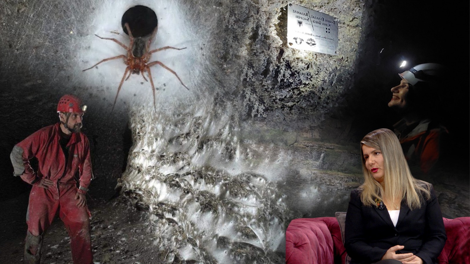 Zbulim shkencor historik / Koloni gjigande merimangash në Liqenin e Neuronit