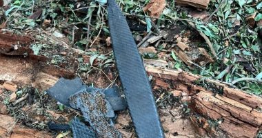 Evakuohet fshati rumun pas një sulmi rus në Danub