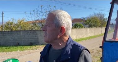 Çakalli “bën kërdinë”/ Malësi e Madhe, banorët: Po sulmojnë bagëtitë