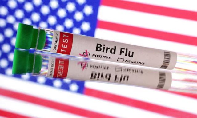 Viktima e parë nga gripi i shpendëve  Banori i Uashingtonit u diagnostikua me varianitn H5N5