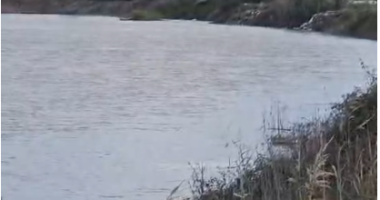 VIDEO/ Përmbytje në Suk të Roskovecit pas daljes nga shtrati të lumit Seman