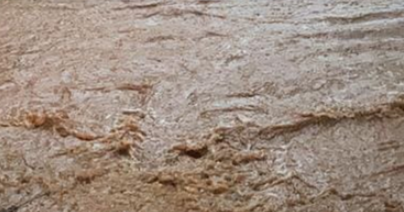 reshje-te-dendura-shiu-ne-vlore-lumi-bistrice-del-nga-shtrati-rreshqitje-guresh-ne-brataj