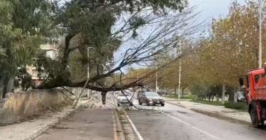 Situata me motin e keq në Fier/ Era e fortë shkakton ndërprje të energjisë elektrike në disa zona rurale