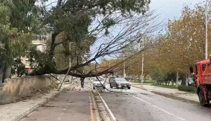 Situata me motin e keq në Fier  Era e fortë shkakton ndërprje të energjisë elektrike në disa zona rurale