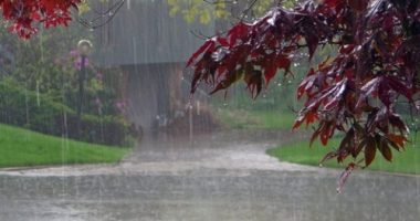 Parashikimi i motit, 3 dhjetor 2025