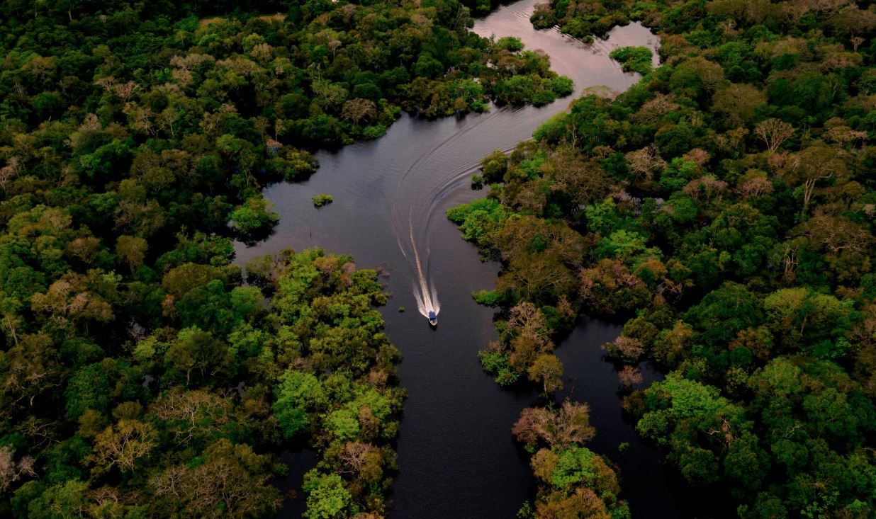 Zyra e OKB  Bota po humbet 10 milionë hektarë pyje tropikale çdo vit